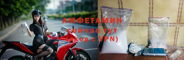молекула духа Снежногорск