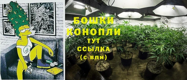 прущие грибы Белоозёрский