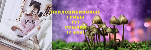 прущие грибы Белоозёрский